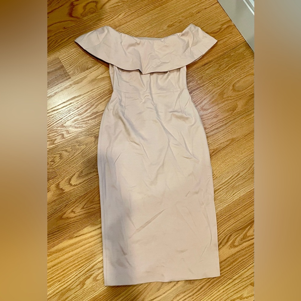 Babaton Strapless Dress